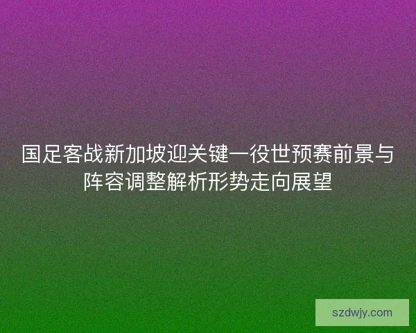 国足客战新加坡迎关键一役世预赛前景与阵容调整解析形势走向展望