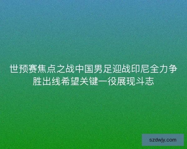 世预赛焦点之战中国男足迎战印尼全力争胜出线希望关键一役展现斗志
