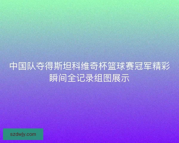 中国队夺得斯坦科维奇杯篮球赛冠军精彩瞬间全记录组图展示