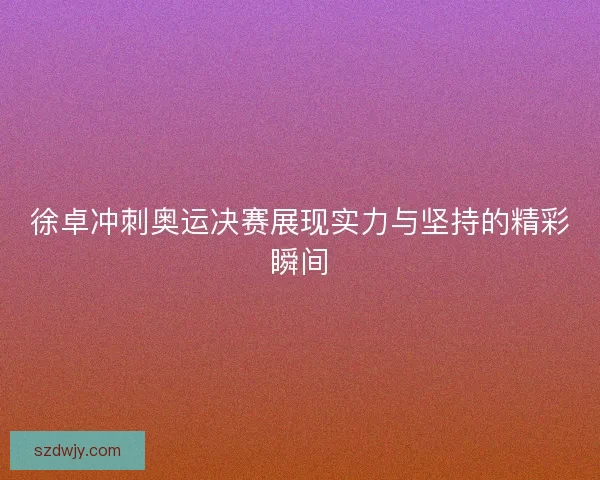 徐卓冲刺奥运决赛展现实力与坚持的精彩瞬间