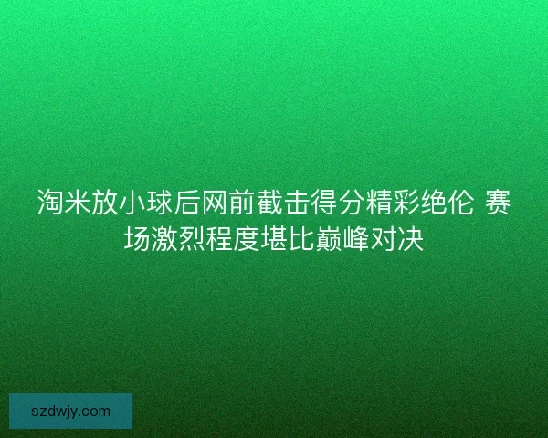 淘米放小球后网前截击得分精彩绝伦 赛场激烈程度堪比巅峰对决